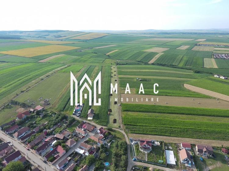Teren Construcții intravilan de 8312 mp, în Șura Mică