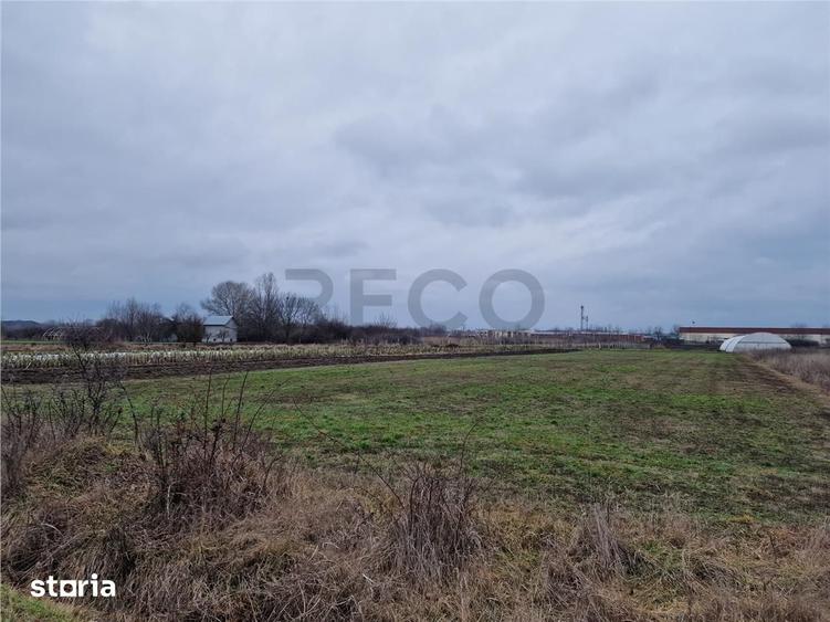 Teren de 1167 mp, în Borș