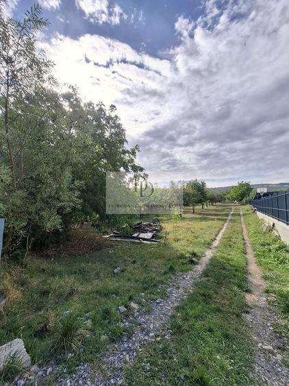 Teren Construcții intravilan de 30012 mp, în Bună Ziua