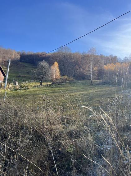 Teren de 5500 mp, în Muntele Rece