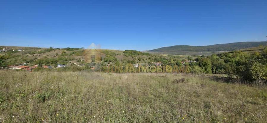 Teren Construcții intravilan de 11000 mp, în Suceagu