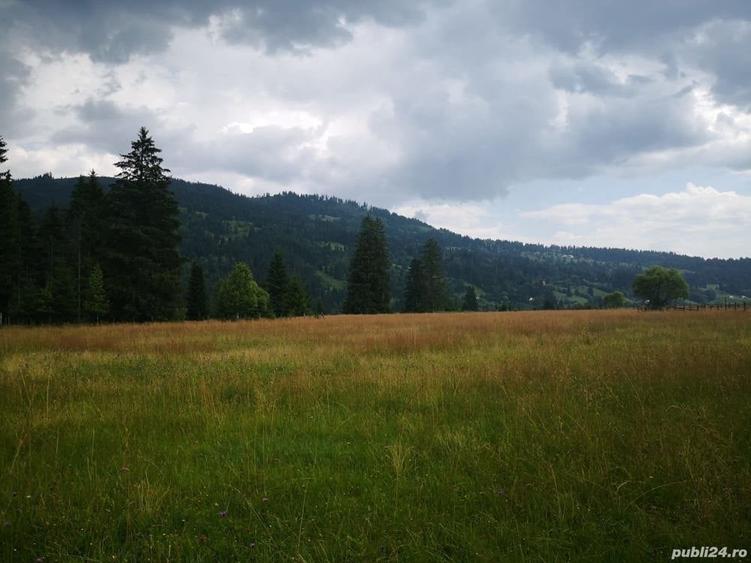 Teren de 50000 mp, în Central