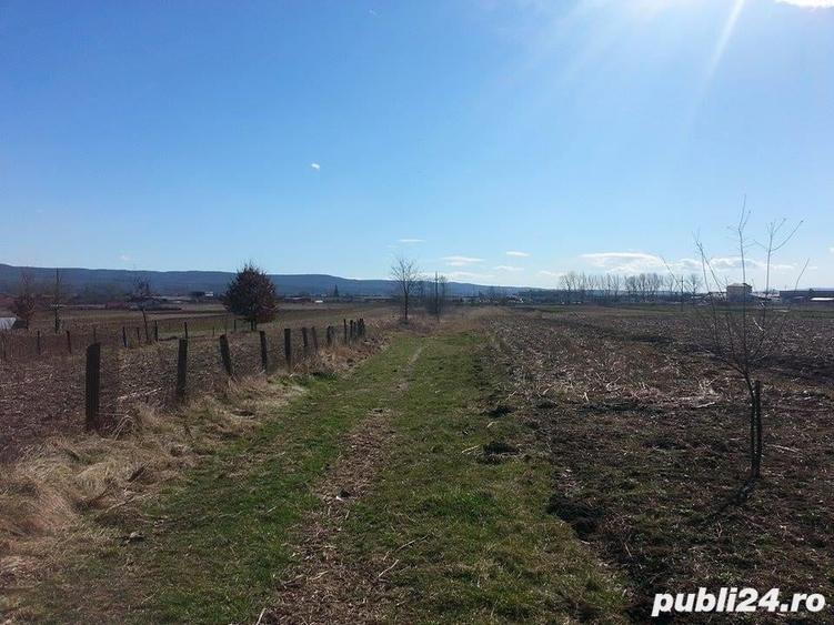 Teren de 9000 mp, în Copăcelu