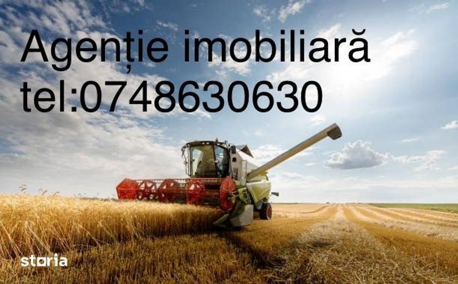 Teren de 215000 mp, în Tuzla