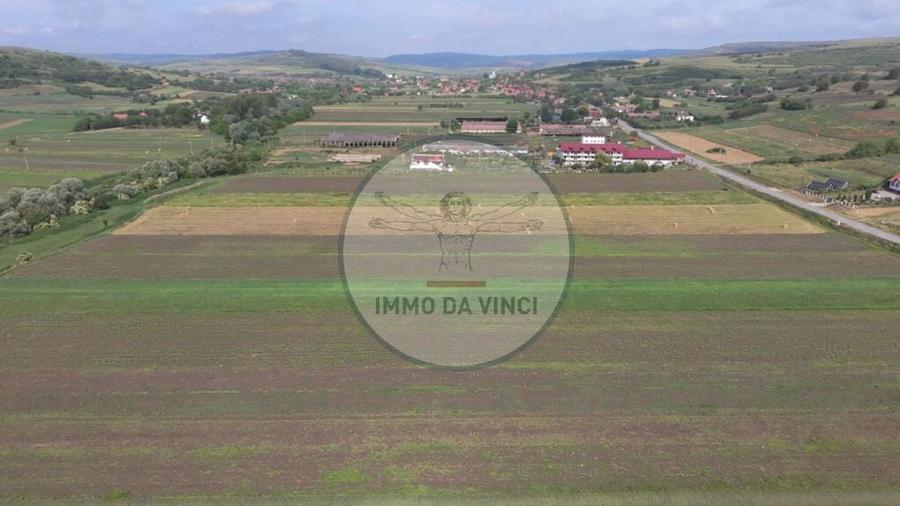 Teren de 10670 mp, în Borșa