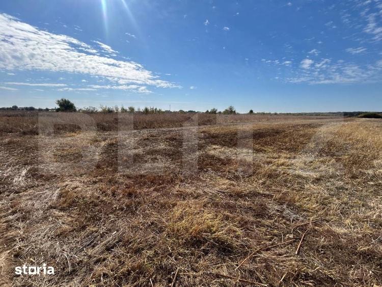 Teren de 3600 mp, în Central