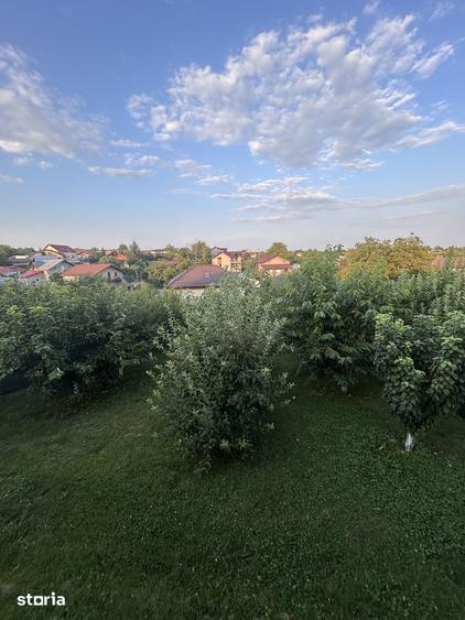 Casa 2013, curte cu pomi fructiferi, zona lini?tita, Brane?ti - 1