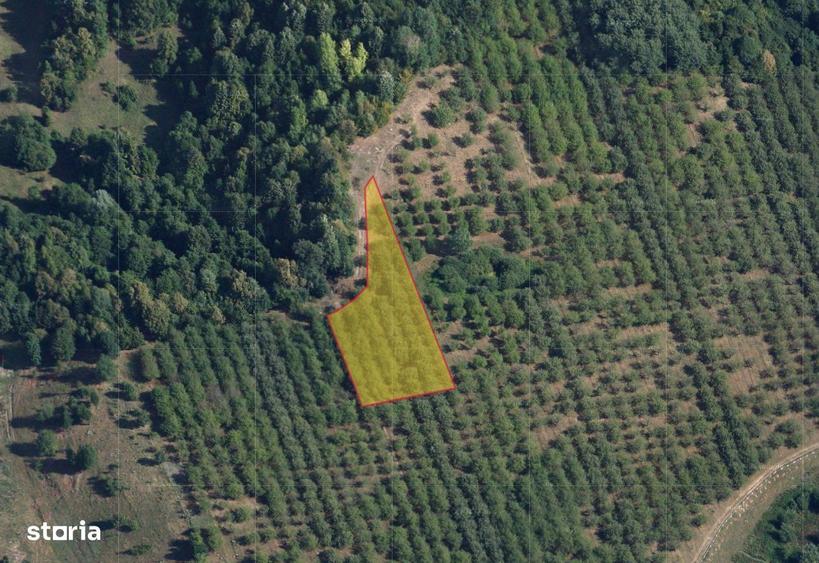 Teren de 2900 mp, în Central