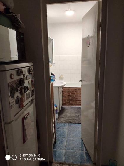 Apartament cu 2 camere semidecomandat în Carei