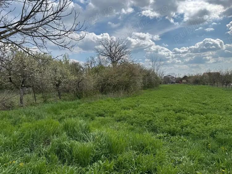 Teren de 1508 mp, în Dragșina