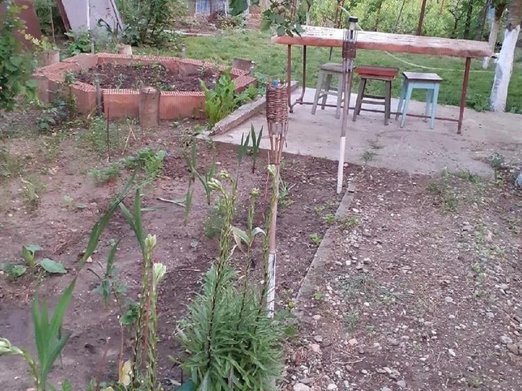 Casă individuală cu 2 camere cu Teren 2930 Mp în Valea Stanciului