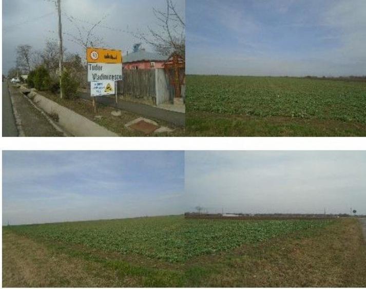 Teren de 6950 mp, în Tudor Vladimirescu