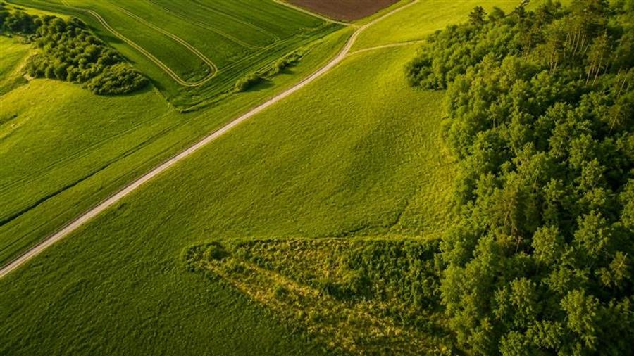6.000 mp teren granitat de liziera compacta de padure, ecran natural de liniste, - 4