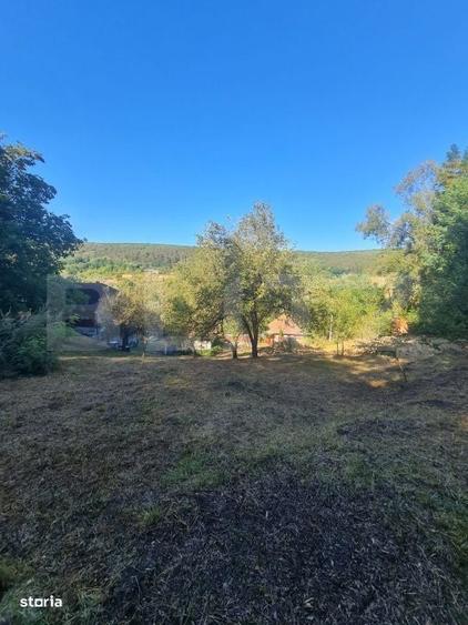 Casa individuala cu 4 camere, 2400 mp de teren, loc Micesti - 11
