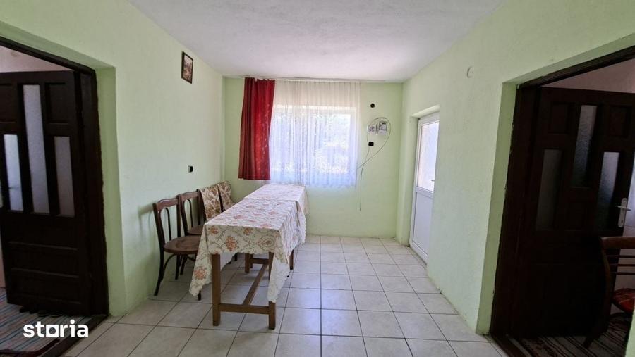 Casă cu 3 camere cu Teren 1667 Mp în Teiu
