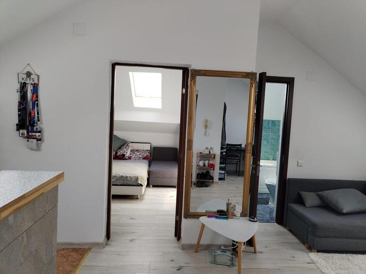 Apartament cu 2 camere decomandat în Bretea Română