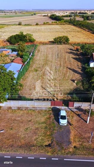 Teren intravilan de vanzare la Foeni, 13200 mp, front 24 m, Timis - 2