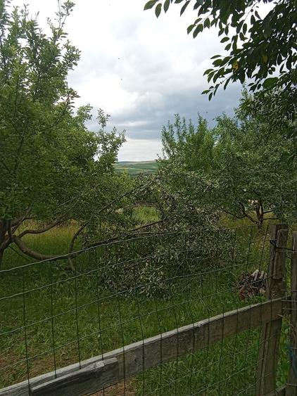 Casă cu 3 camere în Dosu Bricii