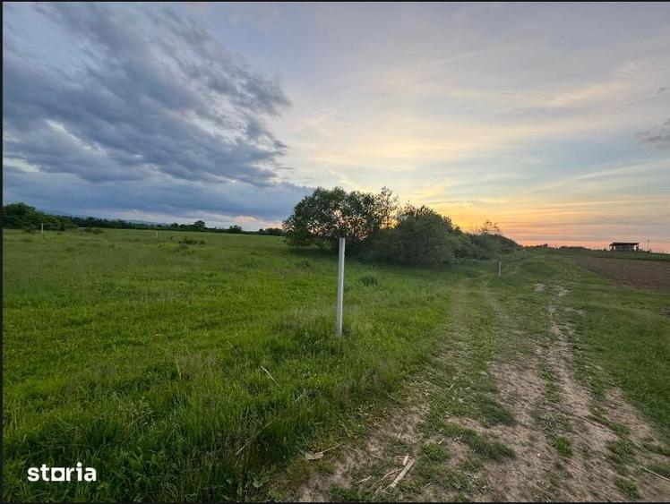 Vand Teren Intravilan, 1000mp, Zona Calea Cisnadiei-Sibiu - 3