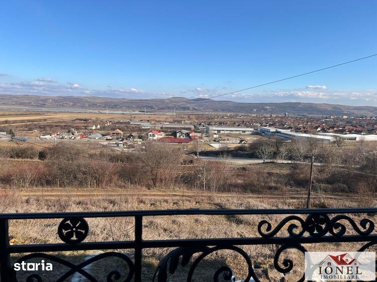 Casă cu Teren 6000 Mp în Teiu