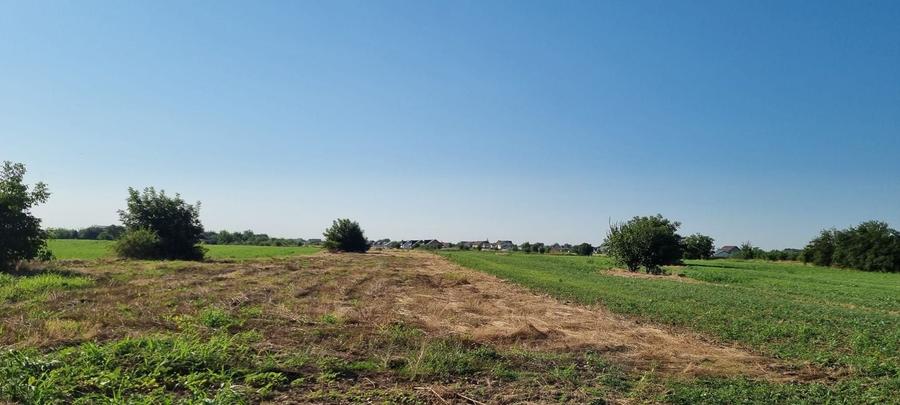 Teren Construcții intravilan de 2000 mp, în Ciorogârla