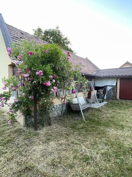 Casă cu 4 camere în Bran