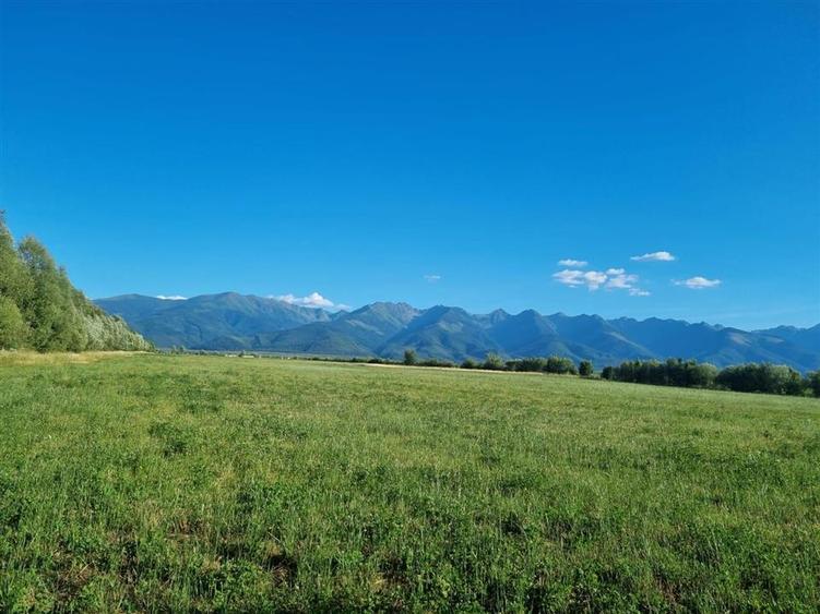 Teren Construcții intravilan de 17529 mp, în Central