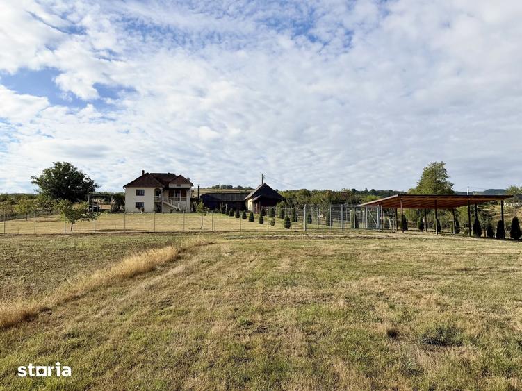 Casă cu 4 camere cu Teren 13000 Mp în Sâg
