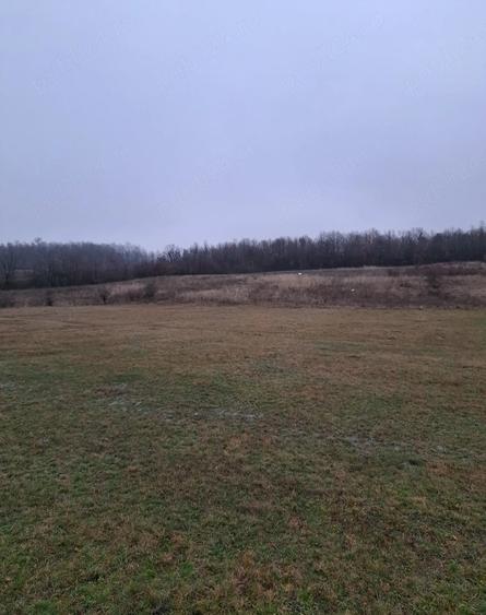 Teren de 10912 mp, în Crasna