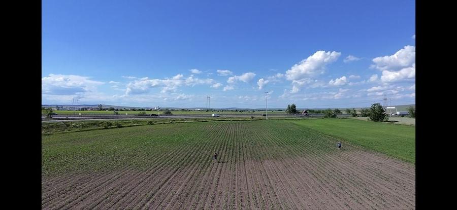 Teren de 1859 mp, în Lotrioara