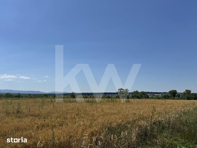 Teren 720 mp Sevis | 23 m front | Oportunitate investitie 24.480 - 9