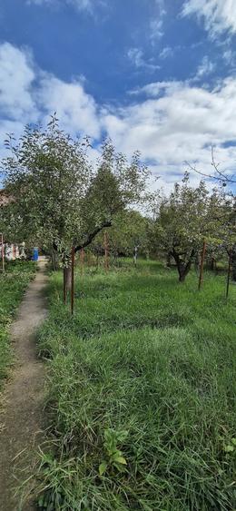 Casă cu Teren 1255 Mp în Crevedia