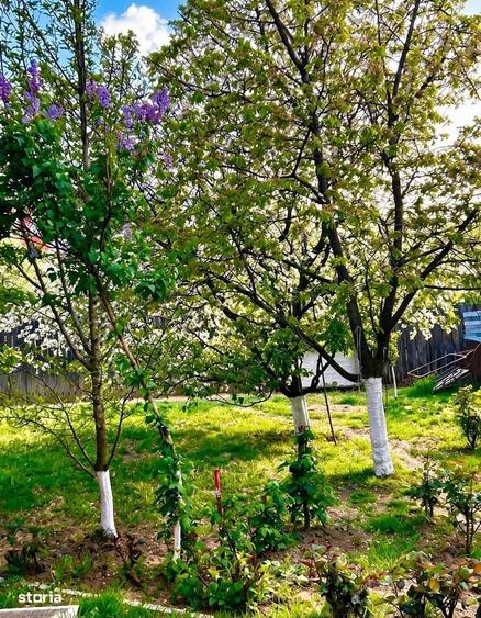 Casă cu 4 camere în Jiblea Nouă