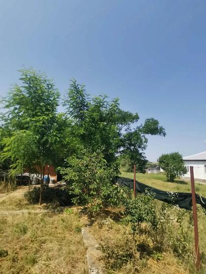 Casă cu 4 camere cu Teren 1800 Mp în Exterior Vest