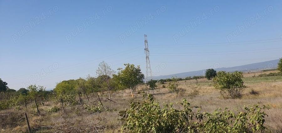 Teren de 2042 mp, în Central