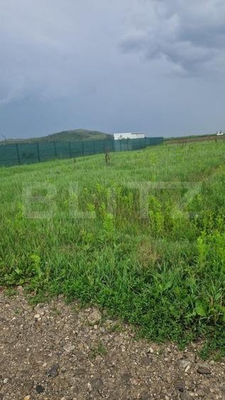 Teren Construcții intravilan de 800 mp, în Bod