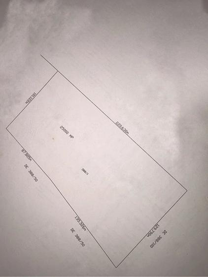 Teren de 2500 mp, în Snagov