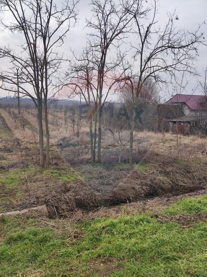 Teren Construcții intravilan de 2341 mp, în Uileacu de Munte