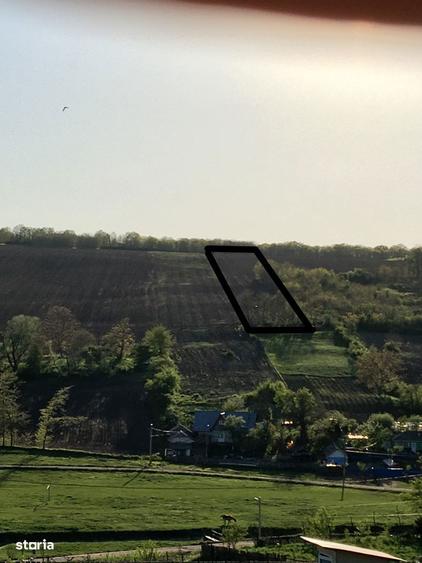 Teren de 10500 mp, în Aroneanu