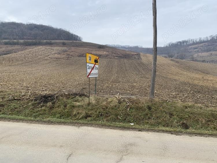 Teren de 5800 mp, în Șaroș pe Târnave