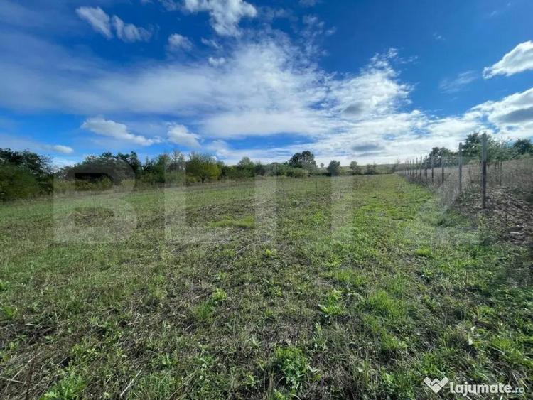 De Vanzare - Teren Intravilan, Localitatea Sumugiu - 4