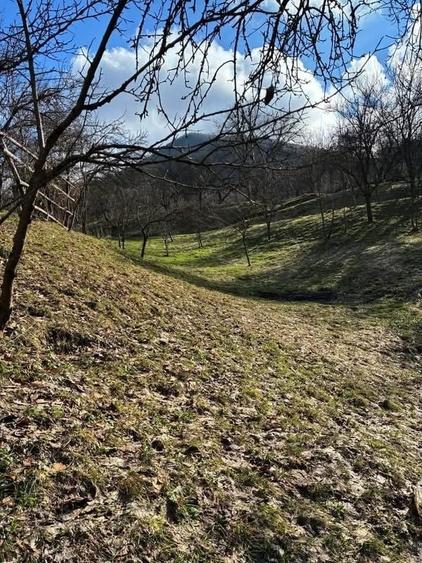 Casă cu 3 camere în Chiuzbaia