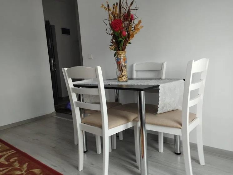Apartament cu 2 camere decomandat, mobilat în Viilor