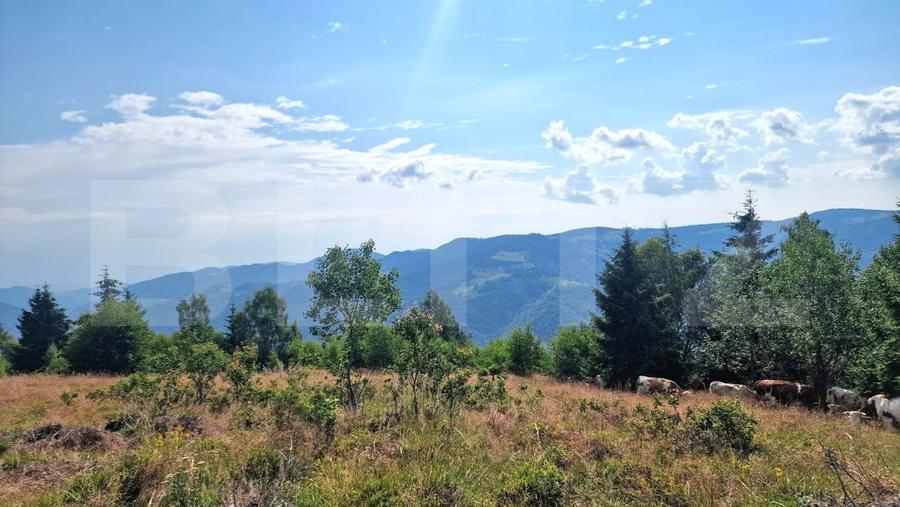 Teren Construcții extravilan de 6682 mp, în Măguri-Răcătău