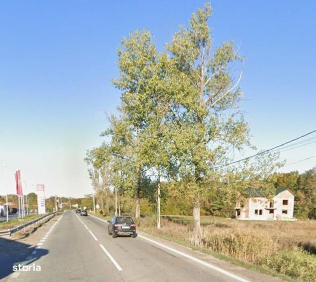 Teren de 5500 mp, în Cotmeana