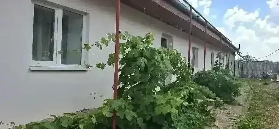 Casă cu 3 camere cu Teren 950 Mp în Cruceni
