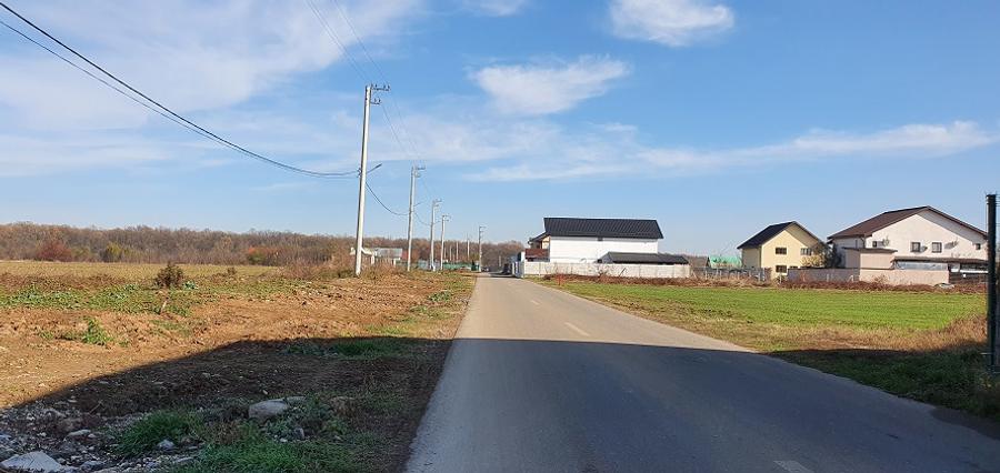 Teren langa padure si aproape utilitati,800 mp,36000 euro - 4