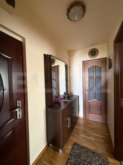 Apartament de vazare, 48 mp, Cartierul Dâmbu Pietros - 7