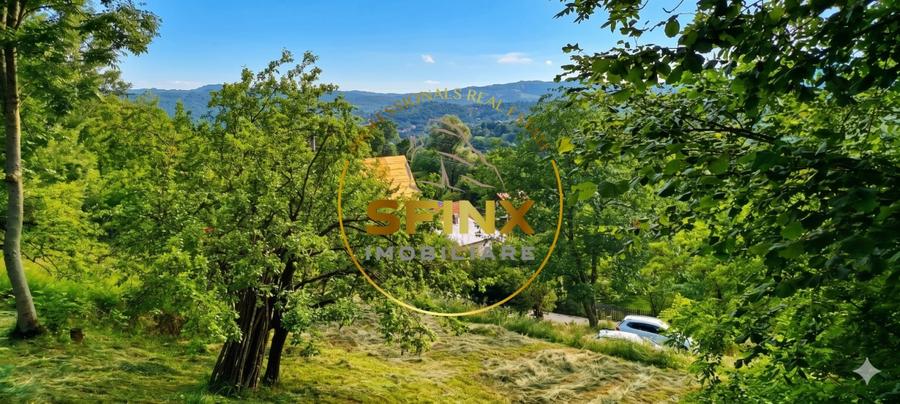 Teren Construcții intravilan de 2960 mp, în Poiana Ciurii