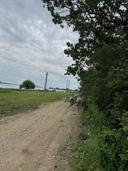 Teren de 27133 mp, în Cazaci